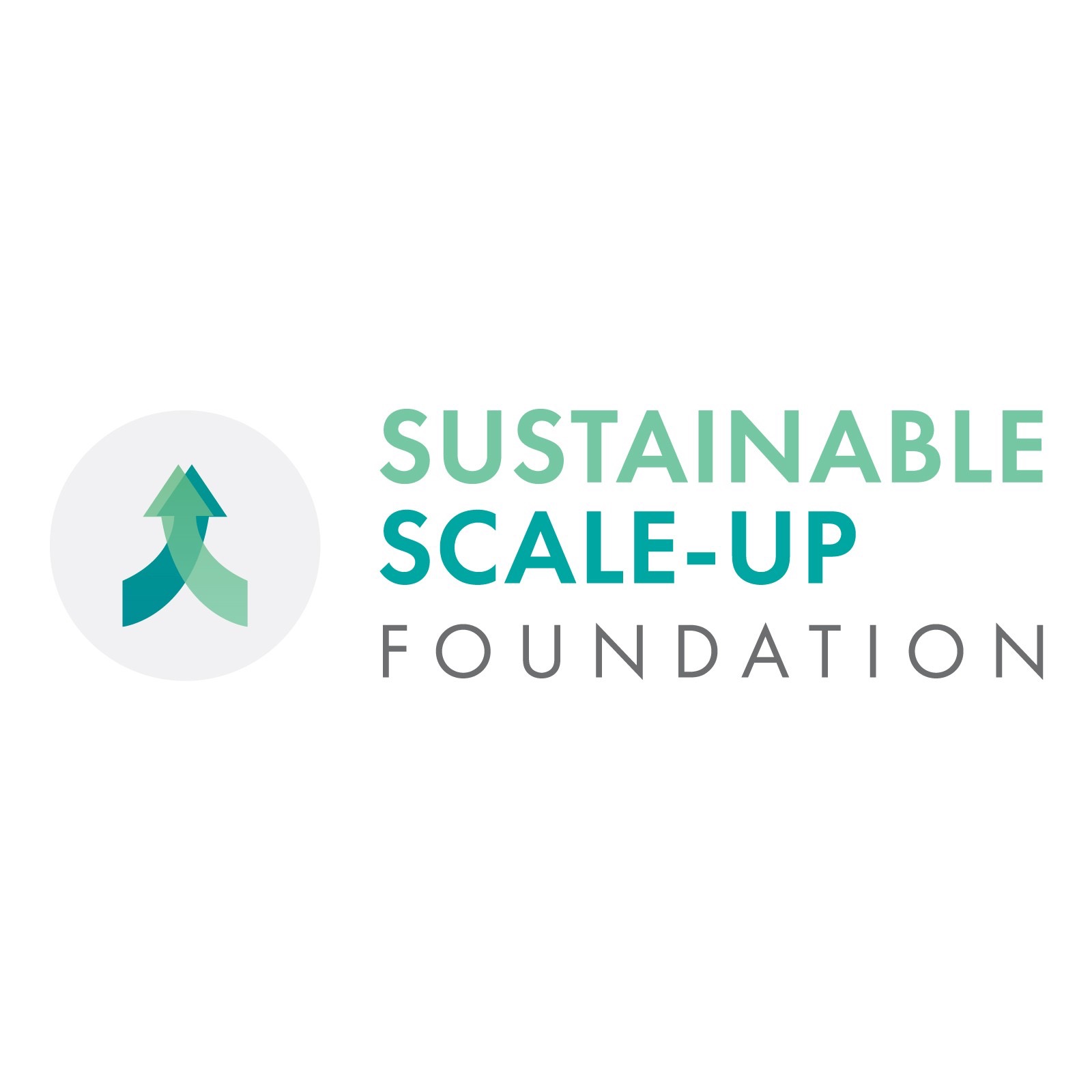 Sustainable Scale-Up Foundation